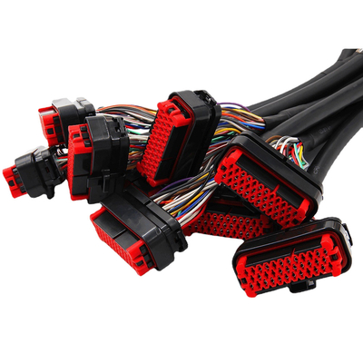 OEM ODMの自動車ワイヤーはAmpのコネクターの等量と利用する